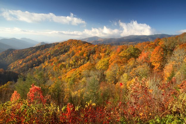 Great Smoky Mountains National Park.